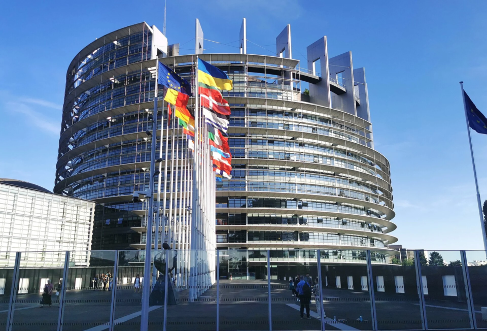 Eurobarometer sorğusu