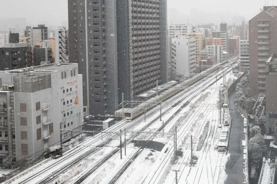 Yaponiyada qar fəlakəti, 46 ölüm, 558 yaralı, Aomori qar, Niigata qəzalar, ağır hava xəbərləri,
