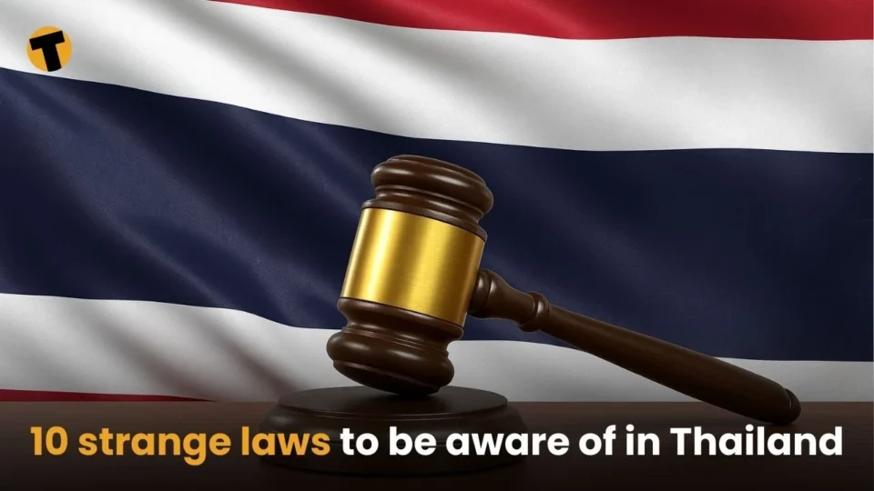 Tayland qanunları, qəribə qanunlar, kralı təhqir qanunu, Tayland turist qaydaları, baht əskinası, lese majeste, Asiya qanunları, maraqlı dünya xəbərləri