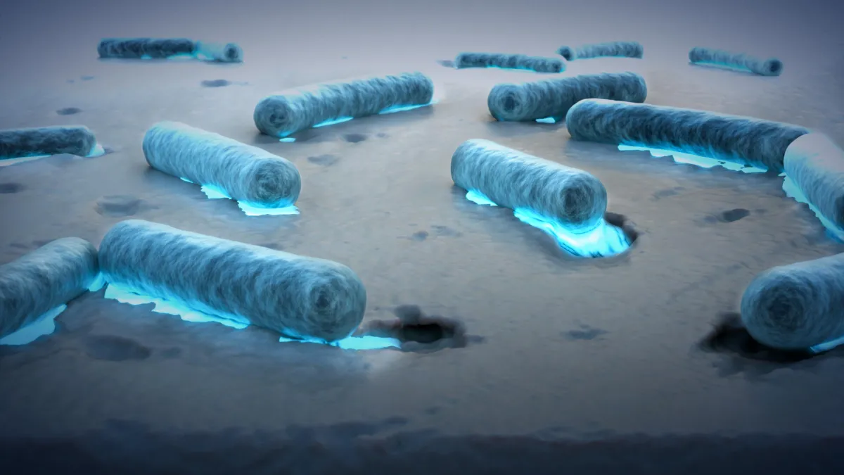 okean çirklənməsi, plastik tullantılar, bakteriya kəşfi, ekoloji texnologiya, dəniz mühiti, plastik parçalanması, elm xəbərləri, BBC Science