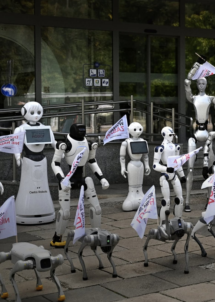 Polşa, robotlar, süni intellekt, robotlaşma, iş yerləri, əmək bazarı, insansı robotlar, süni intellekt qanunu